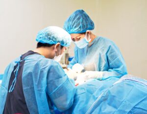 Seoul Center sở hữu đội ngũ bác sĩ có chuyên môn cao, giàu kinh nghiệm