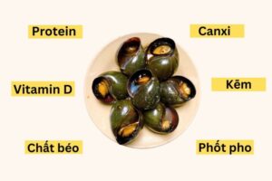 Trong ốc có chứa rất nhiều khoáng chất cần thiết cho cơ thể