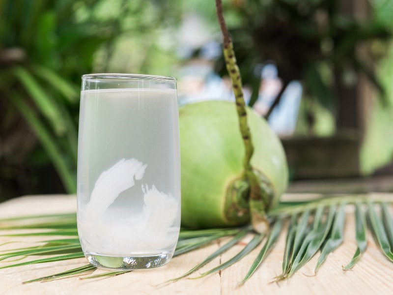 Nước dừa hỗ trợ tốt cho hoạt động của hệ tiêu hóa, đồng thời giúp cho vị trí tiêm filler nhanh chóng phục hồi