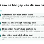 Tại sao cá hồi gây vấn đề sau cắt mí