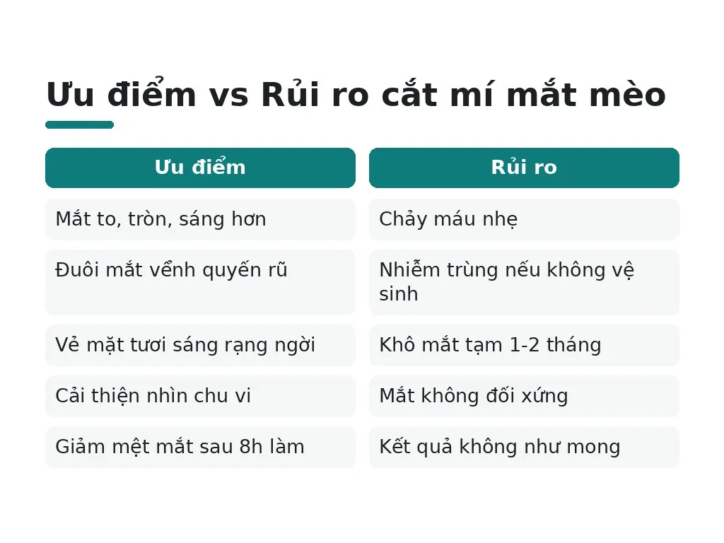 Ưu điểm, rủi ro gì và cần chăm sóc thế nào sau phẫu thuật?