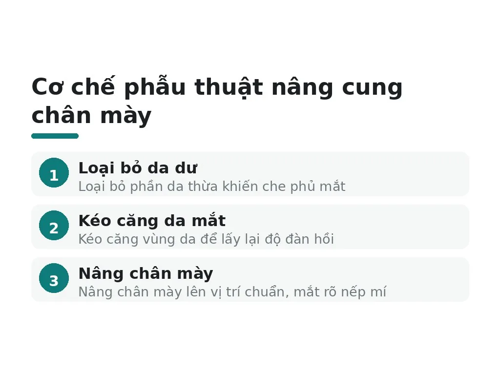 Nâng cung chân mày và sụp mí mắt là gì?