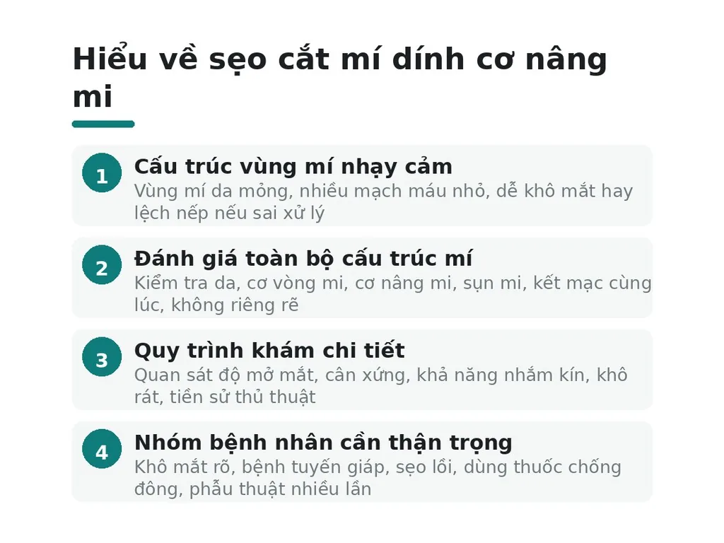 Sẹo cắt mí dính cơ nâng mi là gì?