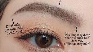 Ý nghĩa của đôi mày