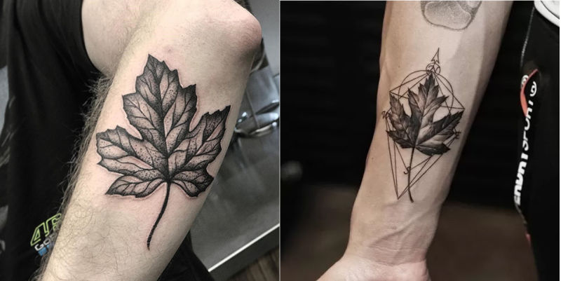 Mẫu hình xăm chiếc lá trắng đen cực kỳ phong cách