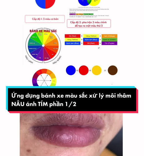 Nắm vững nguyên tắc tỷ lệ vàng giữa màu chủ đạo, màu bổ trợ và màu khóa giúp hạt mực bám đều, bền màu