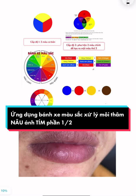 Nắm vững nguyên tắc tỷ lệ vàng giữa màu chủ đạo, màu bổ trợ và màu khóa giúp hạt mực bám đều, bền màu