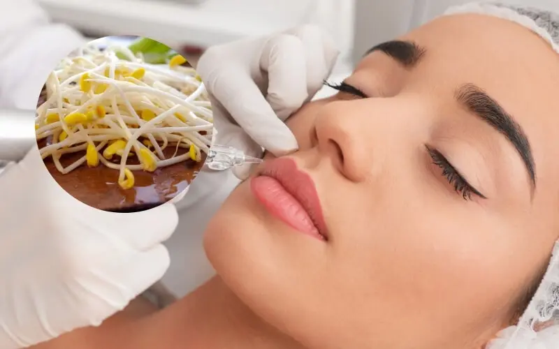 Giá đỗ cung cấp lượng lớn vitamin C, E và khoáng chất giúp nuôi dưỡng biểu bì môi non mau lành và mềm mượt