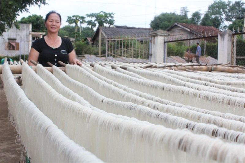 Phơi khô giúp cho miến giữ được độ dai và ngon cần thiết Phơi khô giúp cho miến giữ được độ dai và ngon cần thiết