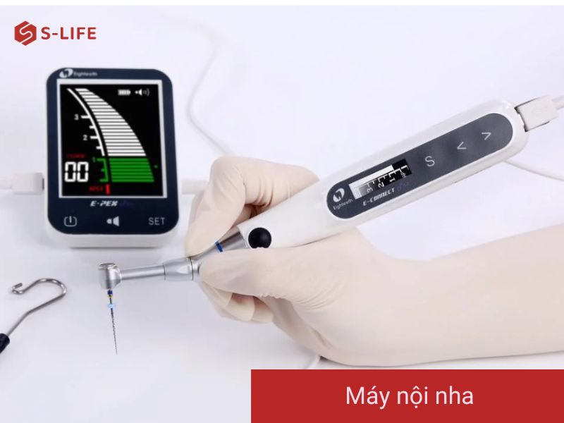 máy nội nha