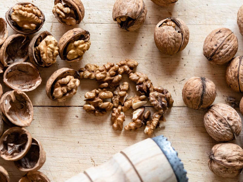 Hạt óc chó có nhiều công dụng tuyệt vời nên được các bạn yêu thích