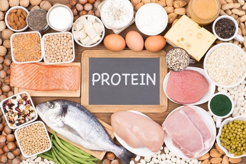 Thực phẩm giàu protein hỗ trợ xây dựng cơ bắp cho cơ thể Thực phẩm giàu protein hỗ trợ xây dựng cơ bắp cho cơ thể