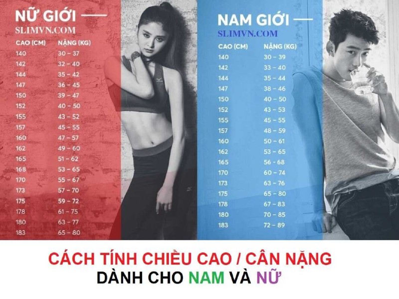 Chiều cao cân nặng chuẩn của nam và nữ trưởng thành Chiều cao cân nặng chuẩn của nam và nữ trưởng thành