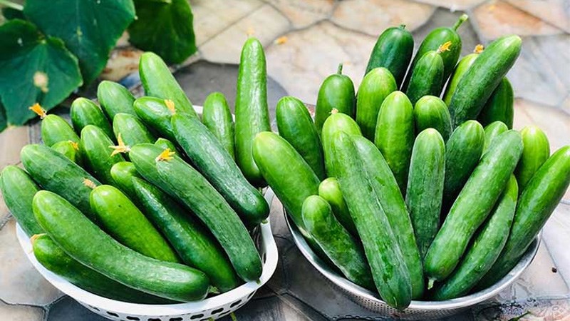 Dưa chuột có tác dụng giảm cân không?