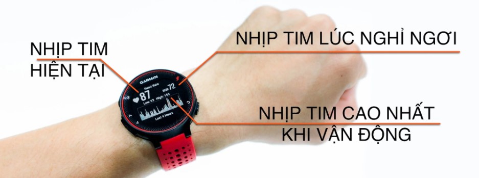 Cần phải kiểm soát nhịp tim nằm trong một mức độ ổn định khi tập luyện chạy bộ Cần phải kiểm soát nhịp tim nằm trong một mức độ ổn định khi tập luyện chạy bộ