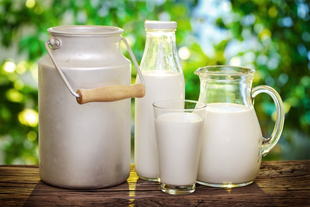 Trong sữa tươi chứa nhiều vitamin và dưỡng chất tốt cho sức khỏe Trong sữa tươi chứa nhiều vitamin và dưỡng chất tốt cho sức khỏe