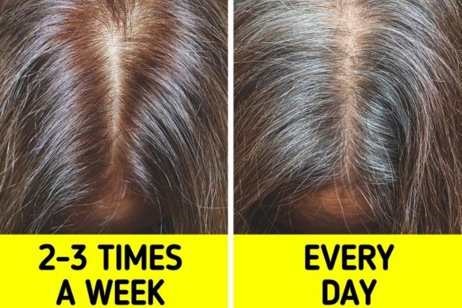 Gội đầu nhiều khiến cho tóc dễ bị yếu và hư tổn