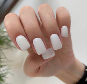 Phom móng tròn cùng rất được các nàng dâu ưa chuộng