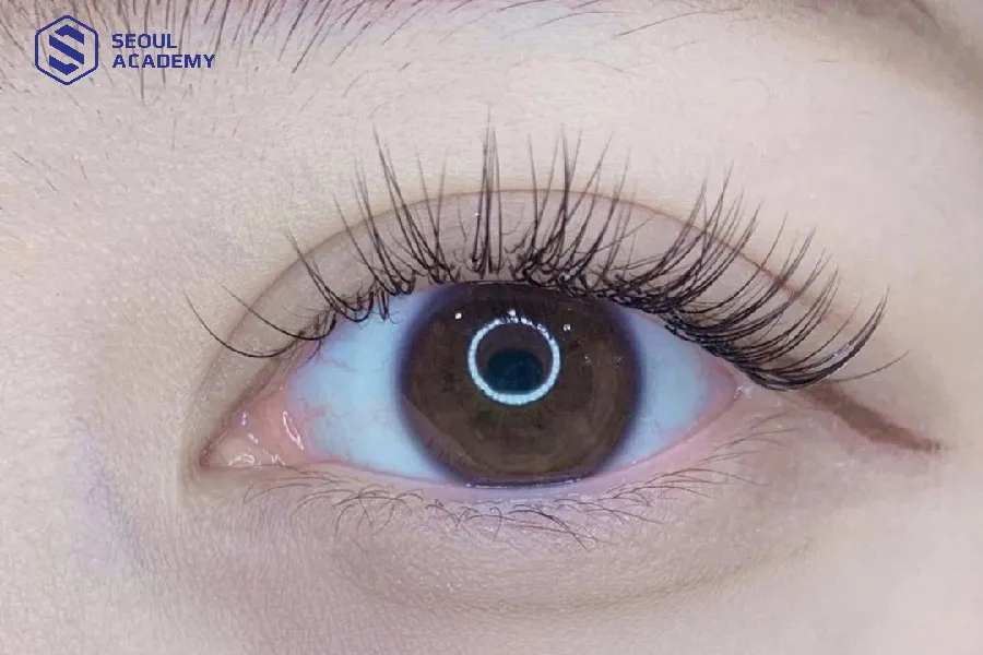 Mi classic là kiểu nối mi truyền thống, cổ điển