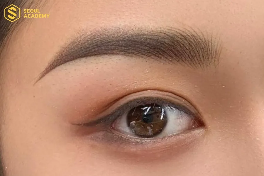 Phun Mày Ombre Và Shading là lựa chọn phù hợp với người yêu thích trang điểm theo phong cách sắc sảo