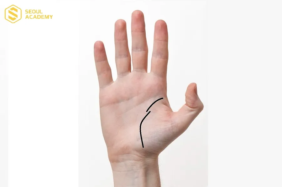 Đường sinh đạo phản ánh sức khỏe, tuổi thọ của mỗi người