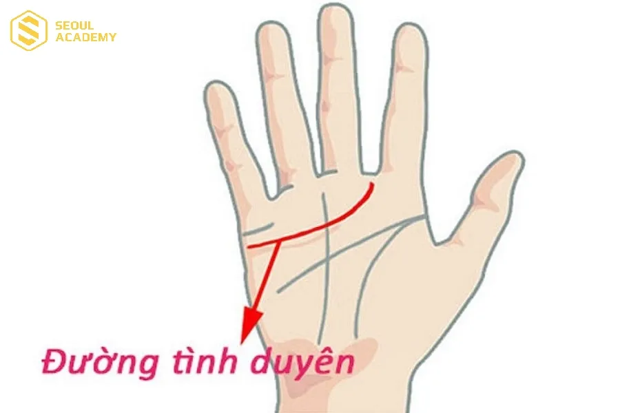 Đường tâm đạo thể hiện đường tình duyên, mối quan hệ của mỗi người