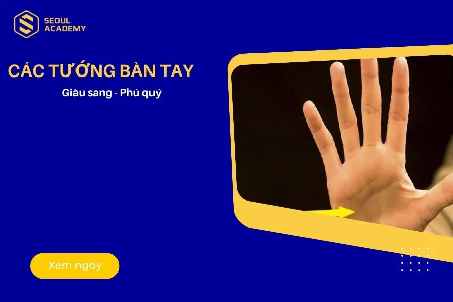 Xem tướng bàn tay