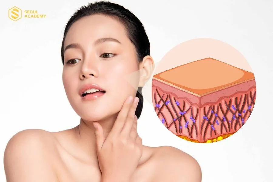 Hoạt chất acid trong peel da kích thích quá trình tái tạo da mớigiúp làn da tươi trẻ, sáng và đều màu hơn