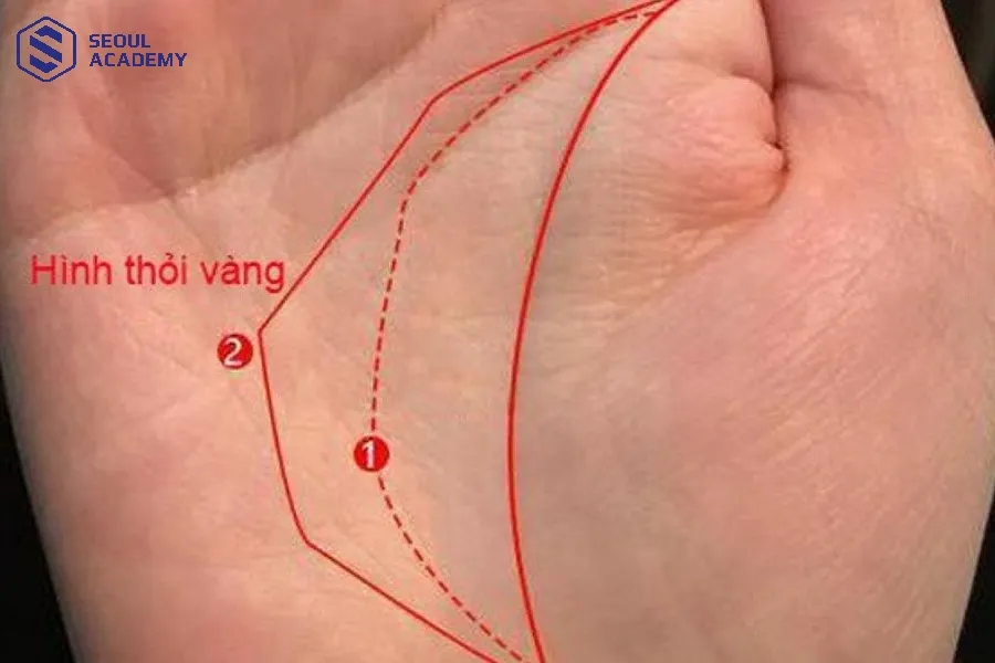 Hình dáng các đường chỉ tay kết hợp tạo thành một chiếc thuyền hoặc hình thỏi vàng là đặc điểm hiếm gặp