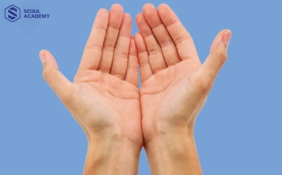 Kết hợp chỉ tay thuyền bát nhã thêm một số đặc điểm nổi bật thể hiện một sự nghiệp thành công, cuộc sống thịnh vượng