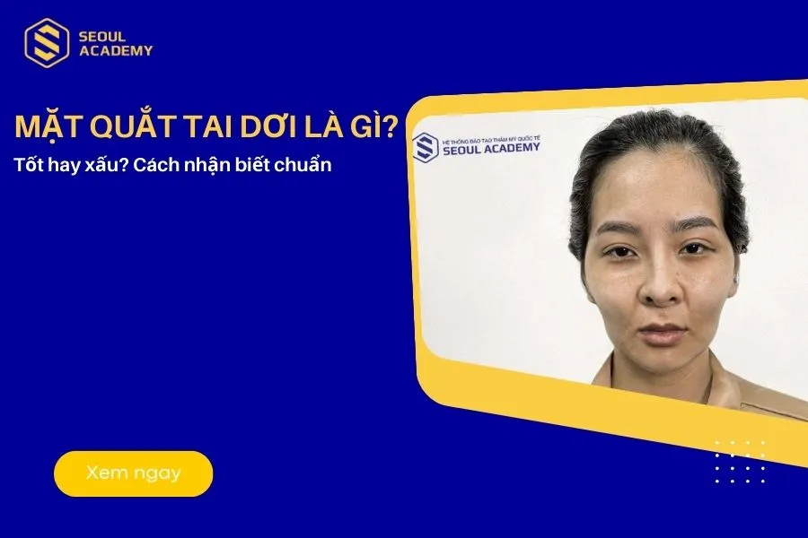Gương mặt thỏ mỏ dơi là gì? Tốt hay xấu? Cách nhận biết chuẩn