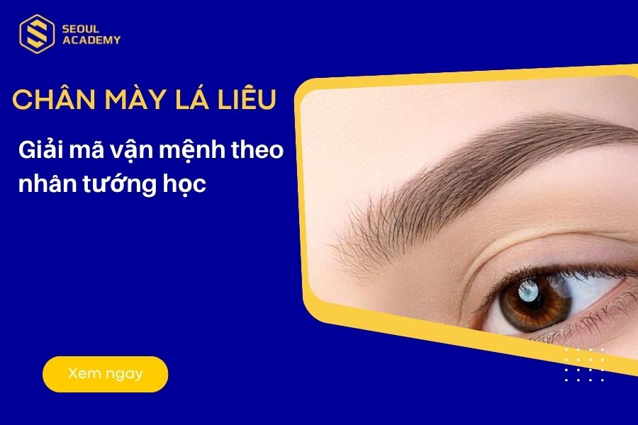 Chân mày lá liễu là gì? Giải mã vận mệnh theo nhân tướng học
