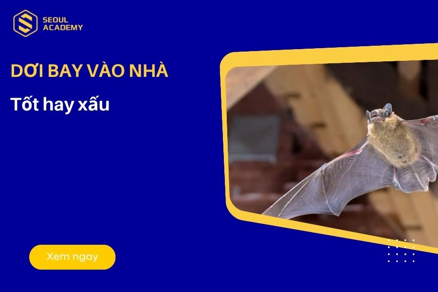 Dơi bay vào nhà tốt hay xấu? Giải mã ý nghĩa tâm linh