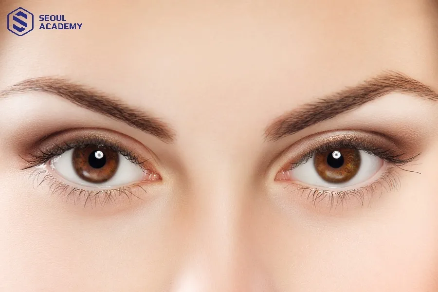 Mức giá cấy mi sinh học nano là rất đa dạng