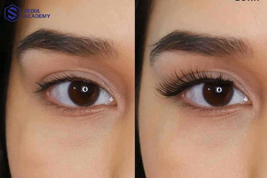 Tìm hiểu kỹ các địa chỉ nối mi uy tín để đảm bảo an toàn và đạt được hiệu quả thẩm mỹ như mong đợi