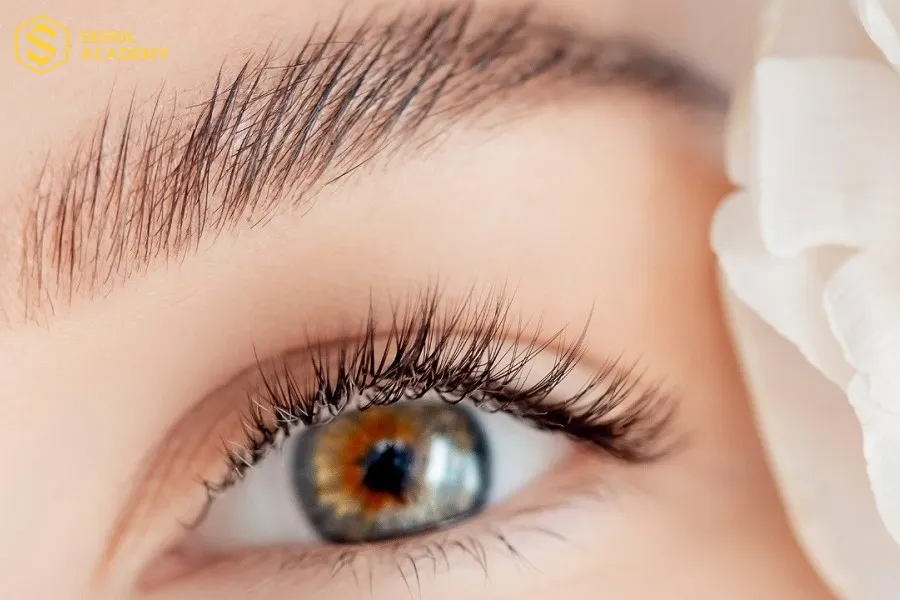 Chăm sóc lông mày đúng cách để màu mực lên ổn định, chuẩn đẹp