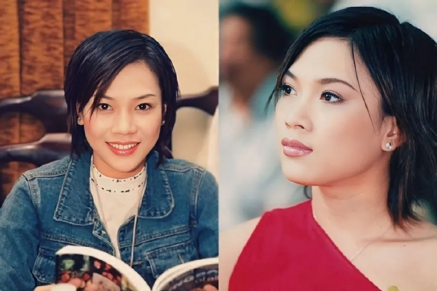 Nét duyên của đôi lông mày lá liễu giúp Mỹ Tâm càng rạng rỡ và thu hút hơn