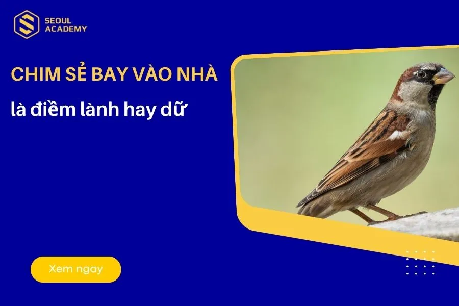 Chim sẻ bay vào nhà là tốt hay xấu