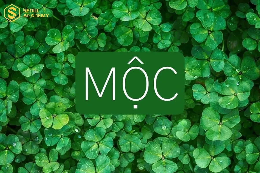 Mệnh Mộc tượng trưng cho cây cối, sự sinh sôi và phát triển không ngừng