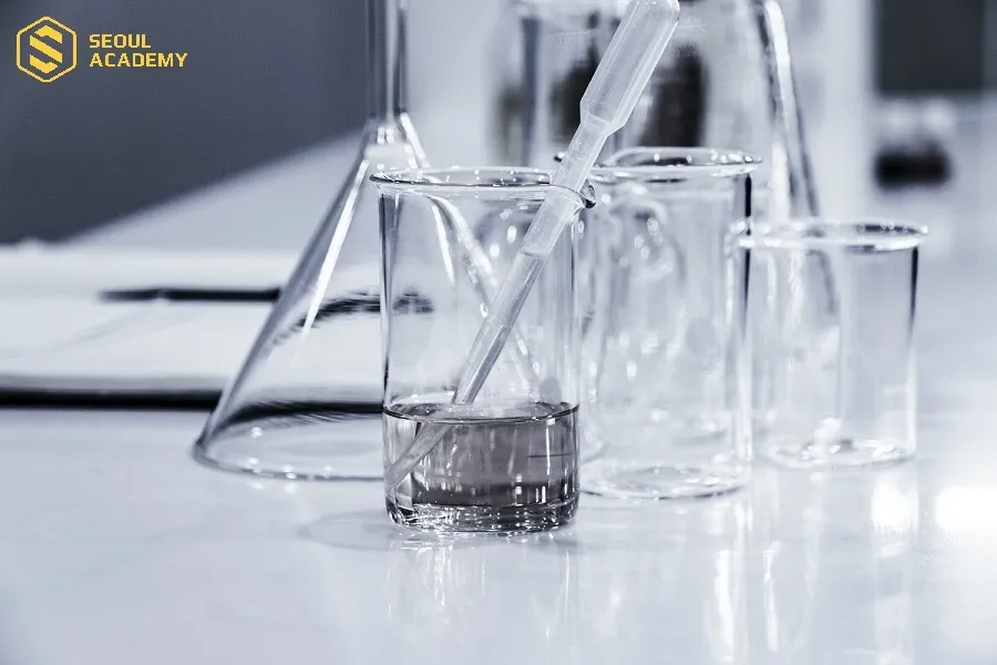 Người mệnh Mộc cũng có thể thử sức với lĩnh vực nghề nghiệp thuộc hành Thủy