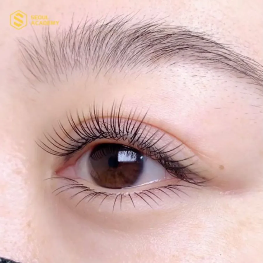 Nối mi Classic giúp cho hàng mi của bạn trông tự nhiên, mềm mại với khuôn mặt hơn.