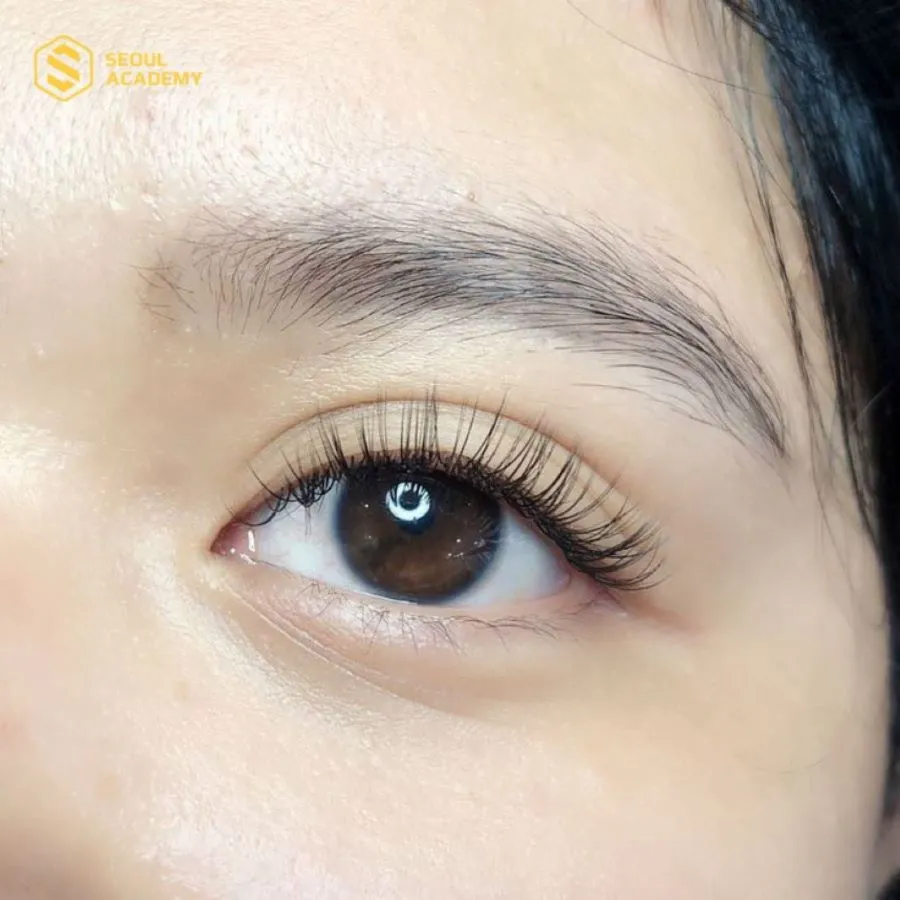 Dáng mi số 9 phù hợp với những ai có hàng mi dài sẵn, muốn mi trông dài và tự nhiên hơn