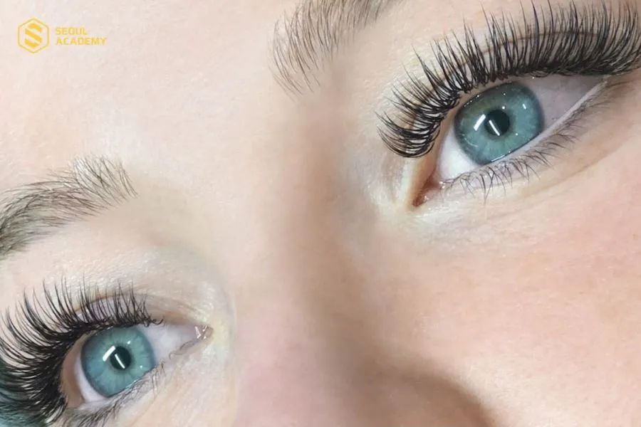 Nối mi classic số mấy đẹp còn phụ thuộc vào tình trạng mi