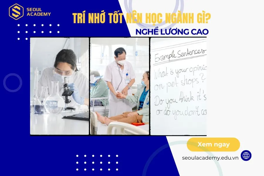 Trí nhớ tốt nên học ngành gì
