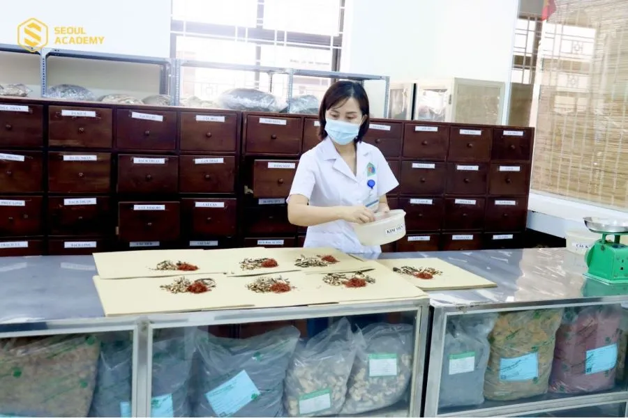 Sinh viên sau khi hoàn thành các chương trình học Trung cấp y học có thể thực tập, làm việc tại bệnh viện hoặc trung tâm y tế