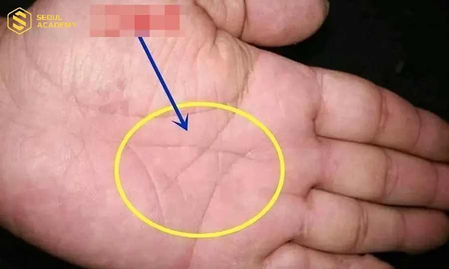 Chỉ tay hình tam giác được xem là dấu hiệu may mắn đặc biệt cho chủ sở hữu