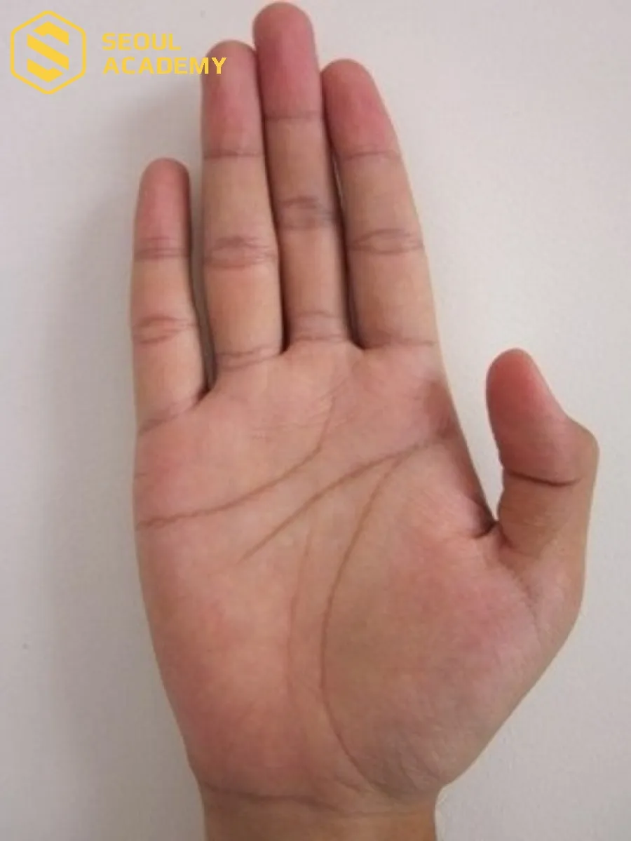 Chỉ tay hình tam giác nằm ở giữa lòng bàn tay được tạo nên bởi 3 đường chỉ tay chính
