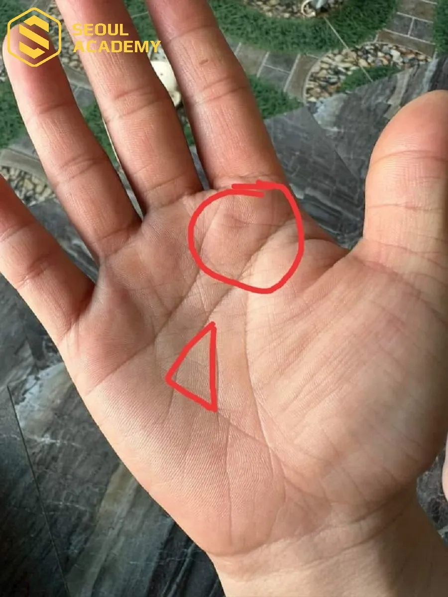 Hình tam giác ở vị trí gò Mộc tinh là người cực kỳ may mắn, có tài lãnh đạo bẩm sinh