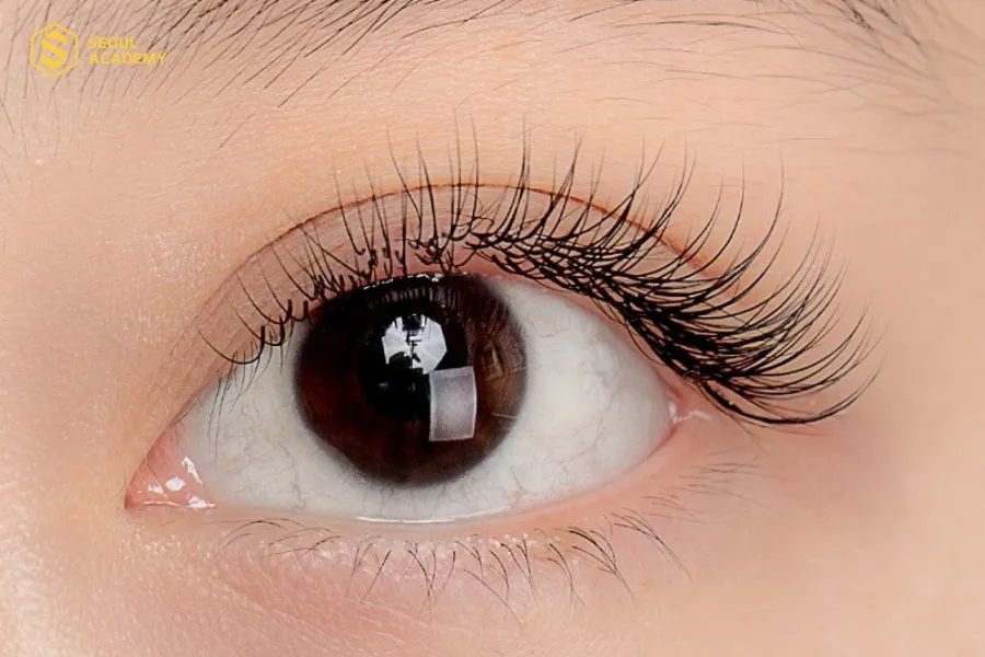 Nối mi classic là phương pháp nối mi hiện đại, an toàn giúp hàng mi trông cuốn hút hơn