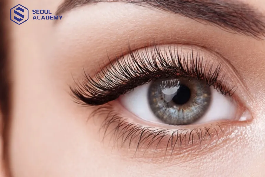 Nối mi giữ được bao lâu? Mi nối có thể dùng trong khoảng 4 tuần đến 6 tuần Nối mi giữ được bao lâu? Mi nối có thể dùng trong khoảng 4 tuần đến 6 tuần